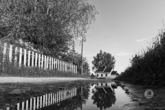 Фальксам Андрей
