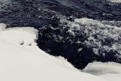 На этом фото притаился слонёнок)