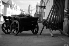 Деревянные спицы. ЧБ фото