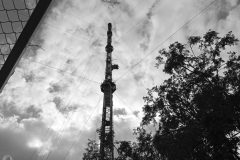 RadioDay2024