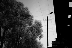 SPhoto46BW